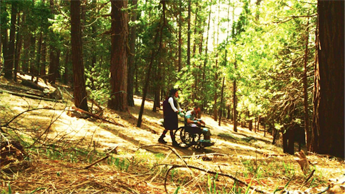 Two faint figures in the woods, one is sitting in a wheelchair and the other figure is pushing it.