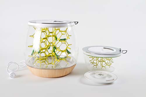 Bee-hive inspired terrarium by Mansour Ourasanah.