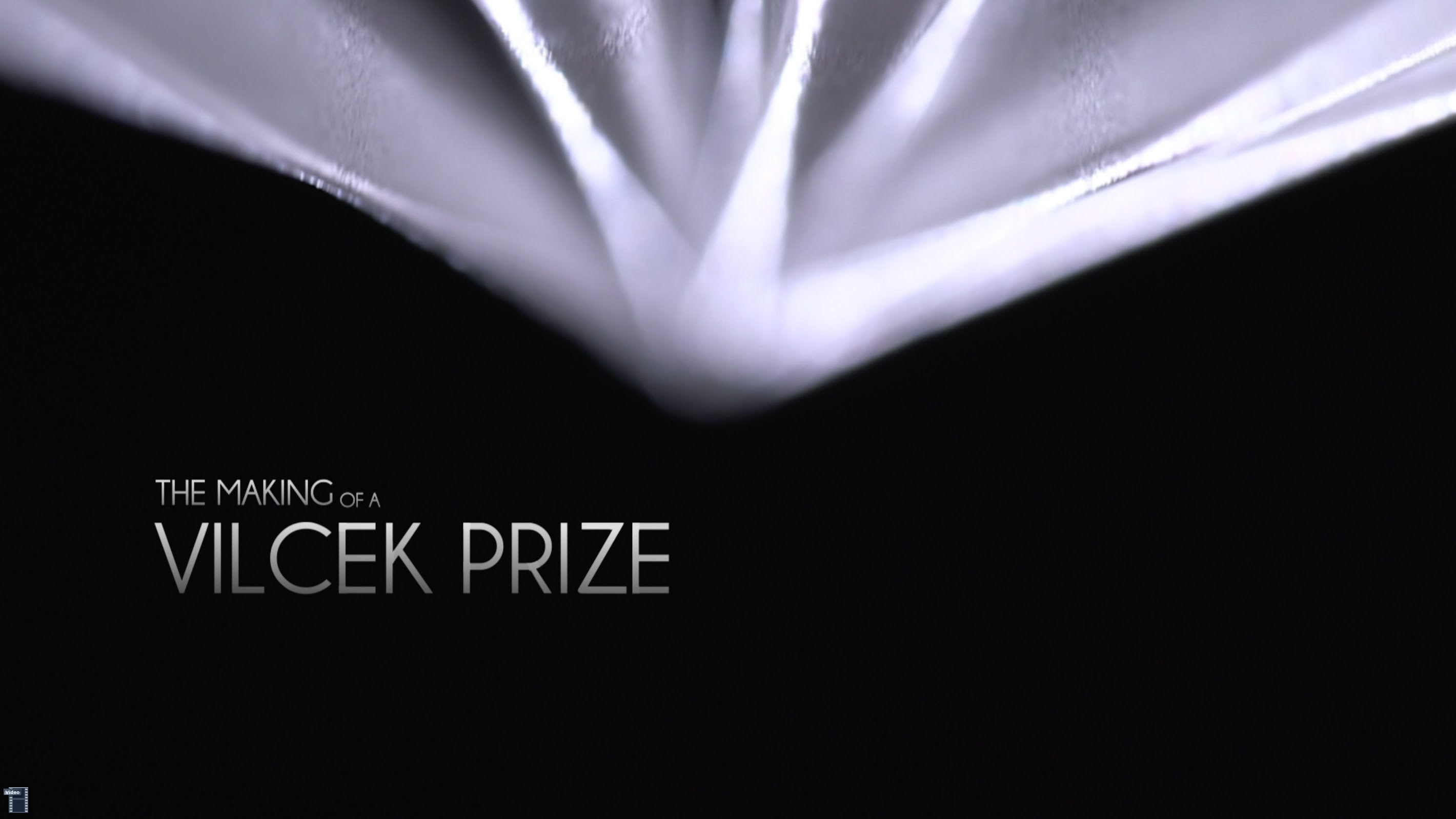 The Making of a Vilcek Prize