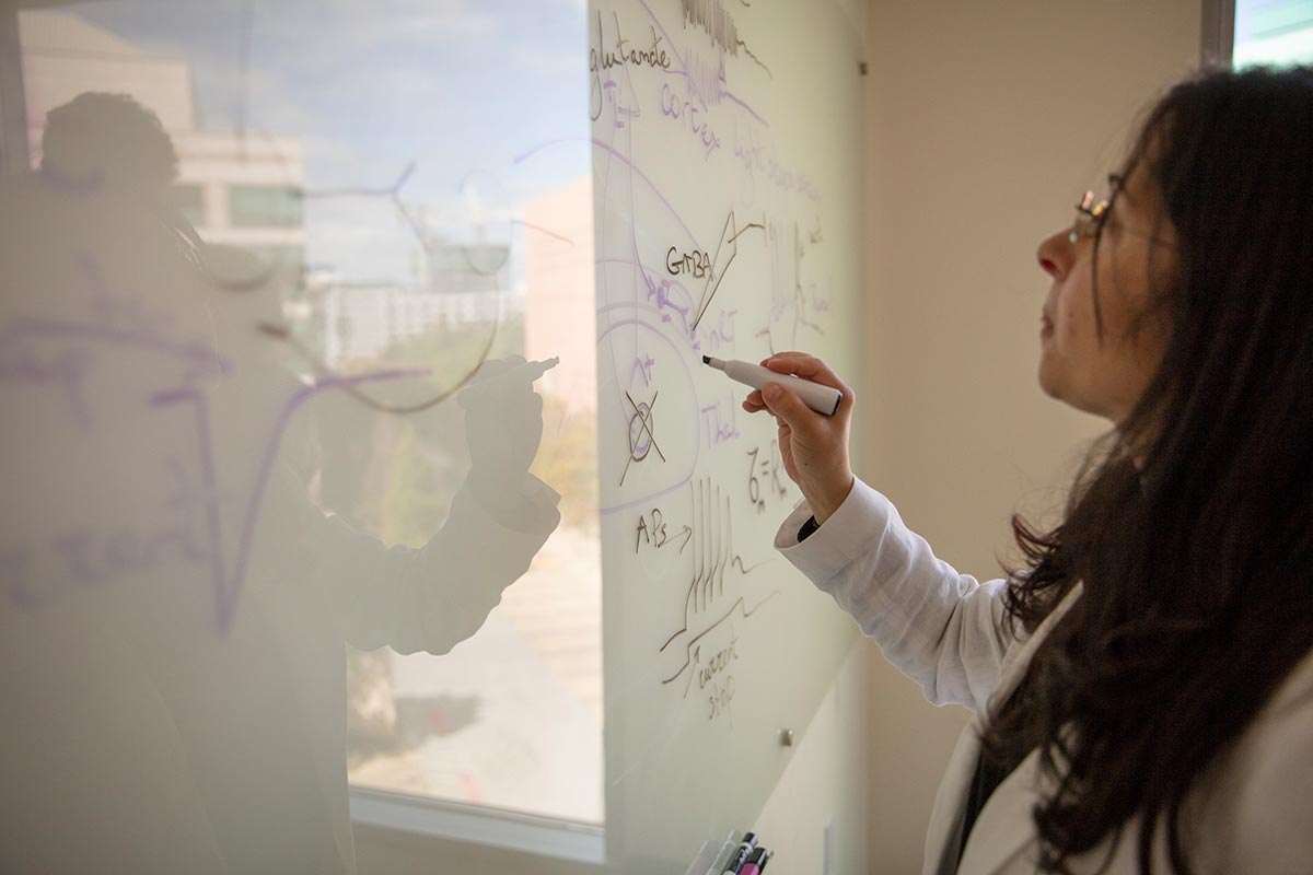 Jeanne T. Paz at a white board in her office