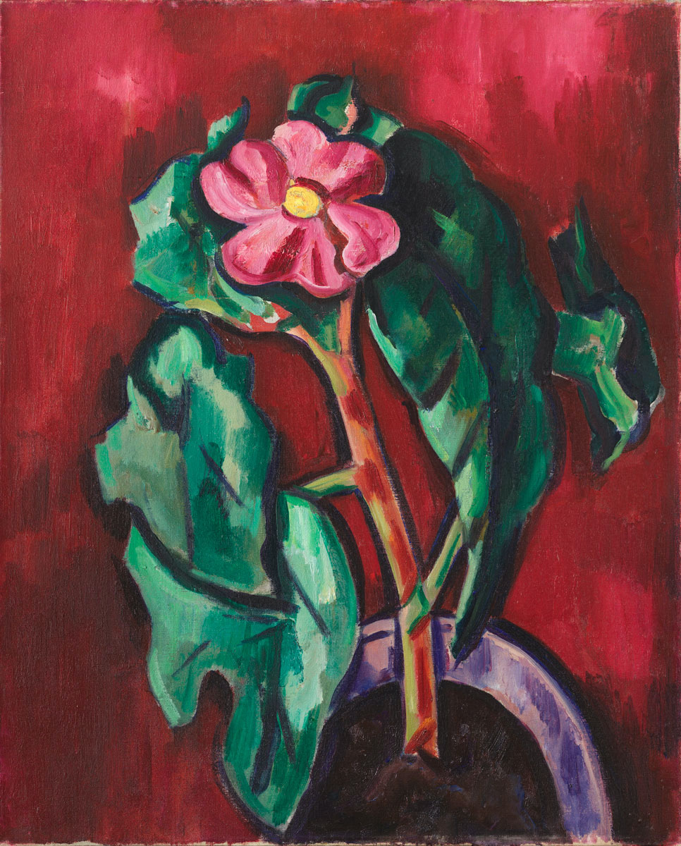 A pink flower with large green leaves on a wine-red background.