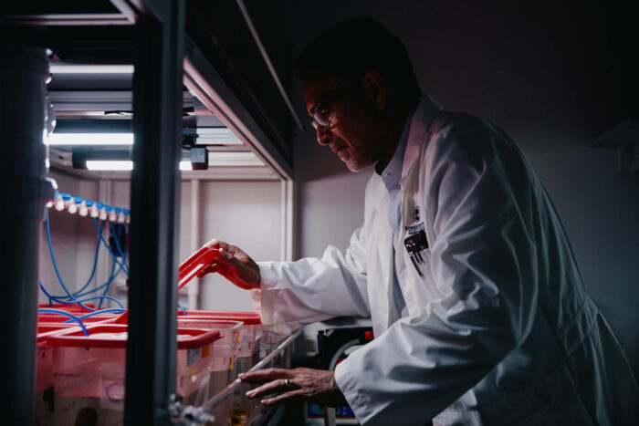 Alejandro Sánchez Alvarado works in a dark room in his lab.
