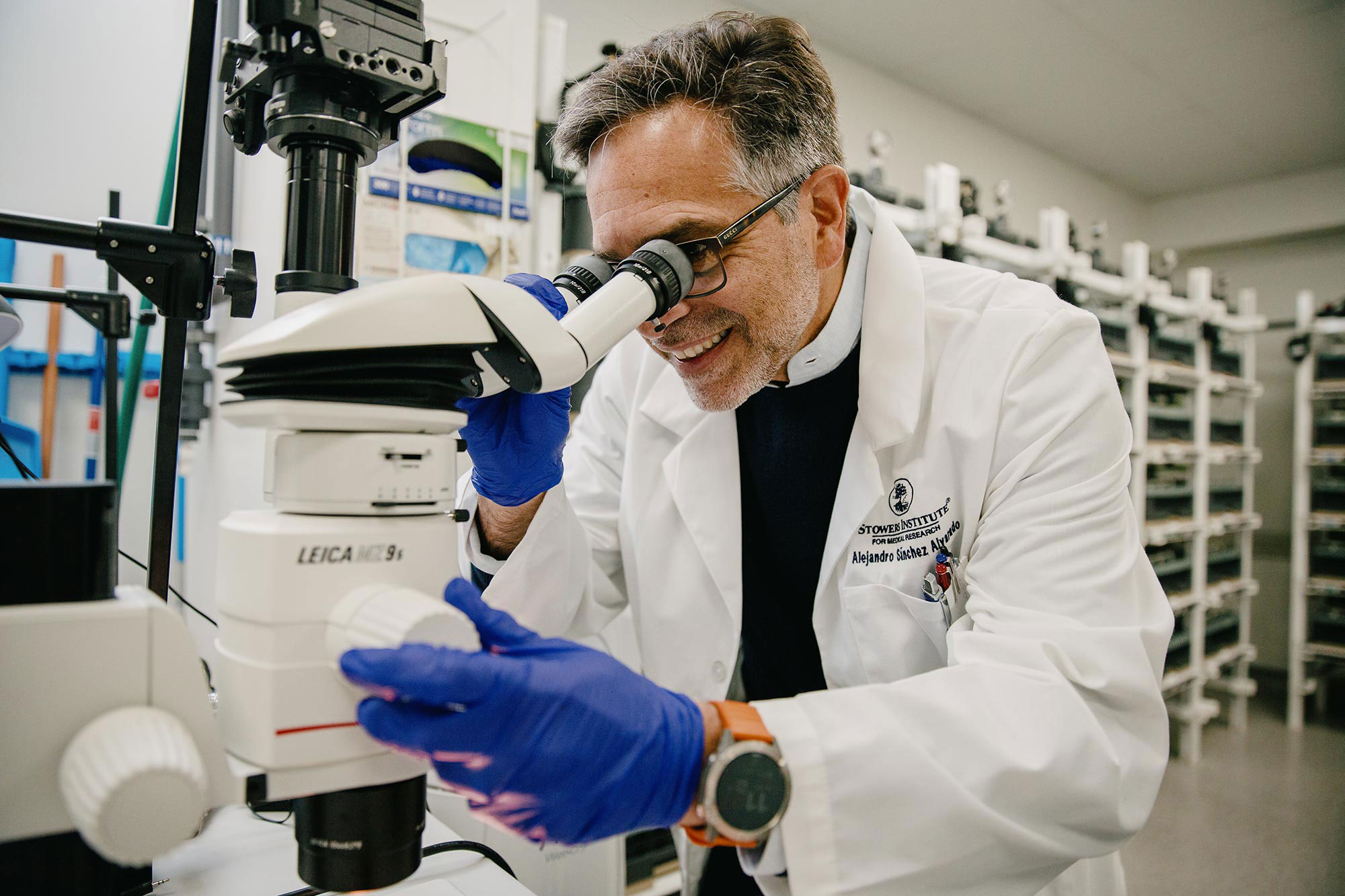 Alejandro Sánchez Alvarado in a white lab coat, examines a specimen through a microscope.